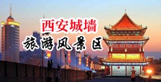 黑丝校花不断呻吟中国陕西-西安城墙旅游风景区